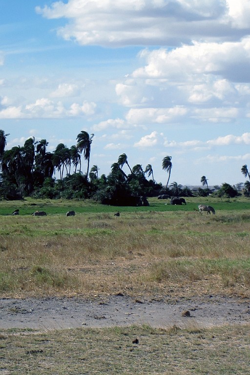 Kenia (252).jpg